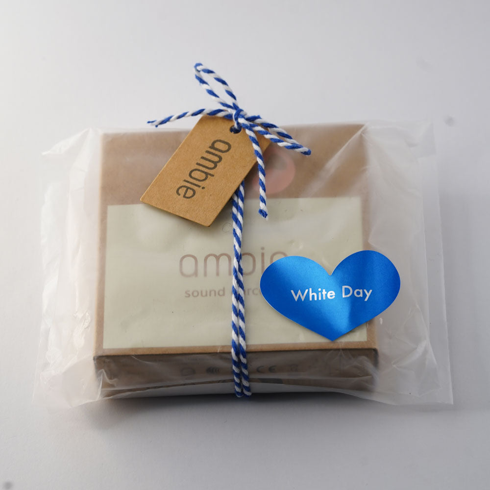 《3/10まで110円》ギフトラッピング