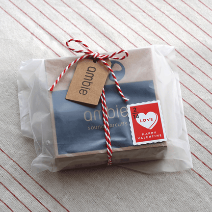 ＜ギフトセット＞ambie sound earcuffs AM-TW02スターターセット ギフトセット